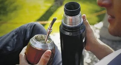 cientificos de estados unidos descubren un nuevo efecto de tomar mate