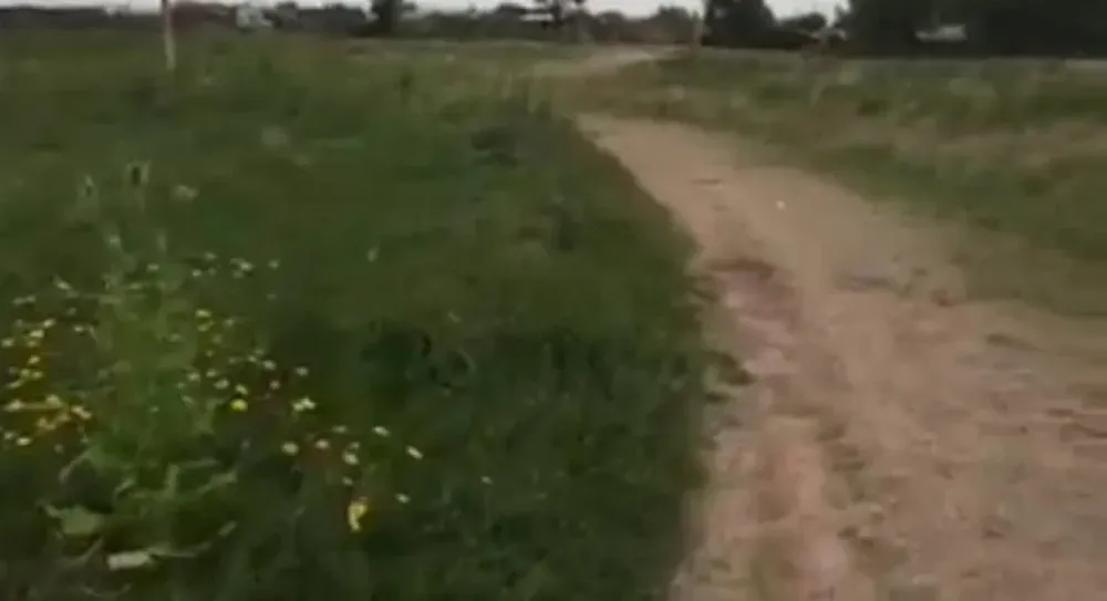 La pista de Nicolás Cuestas