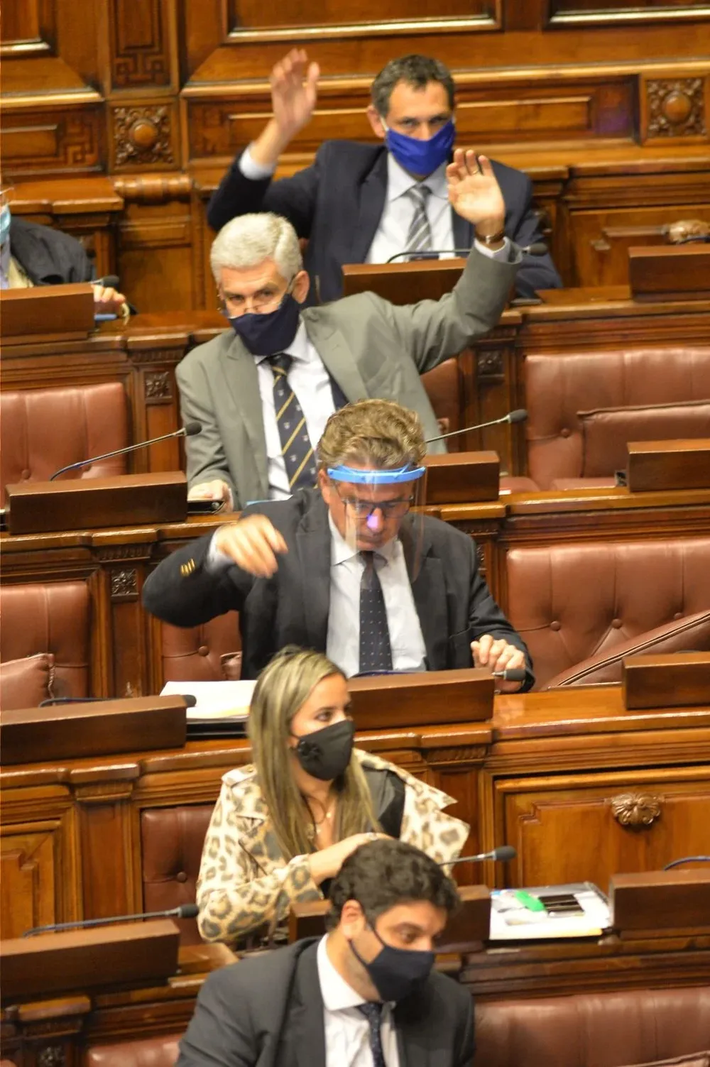 Goñi fue el principal impulsor del proyecto de ley