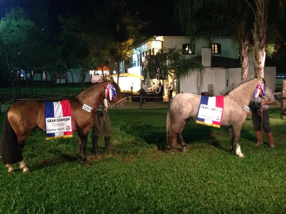 Arrayán Legado y Constancia Natilla, los grandes campeones de la Expo Paraguay 2015