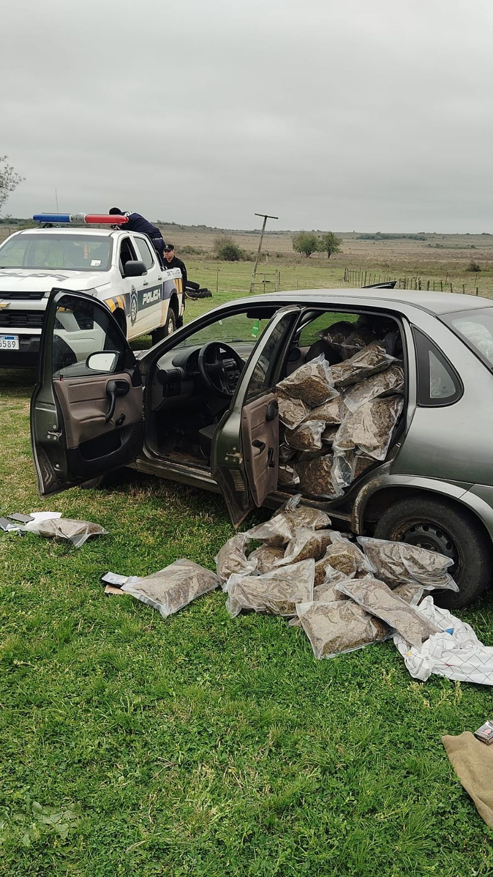 Incautación de marihuana en el departamento de Salto