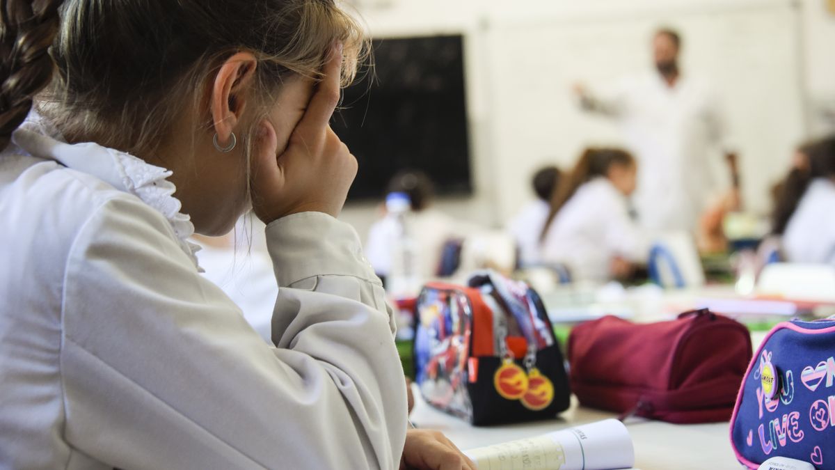 Más de la mitad de los docentes dicen que la transformación educativa ...
