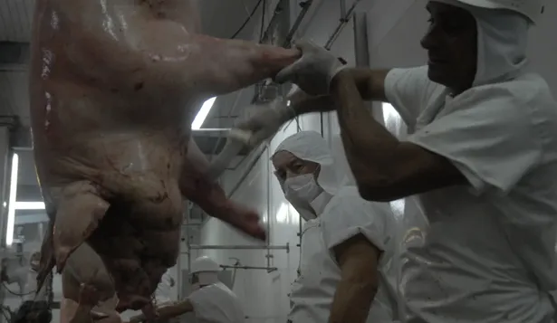 Un grupo de acreedores se siente perjudicado por la venta de La Constancia.