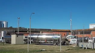 Conaprole: advirtió sobre atrasos en la recolección de leche de los tambos.