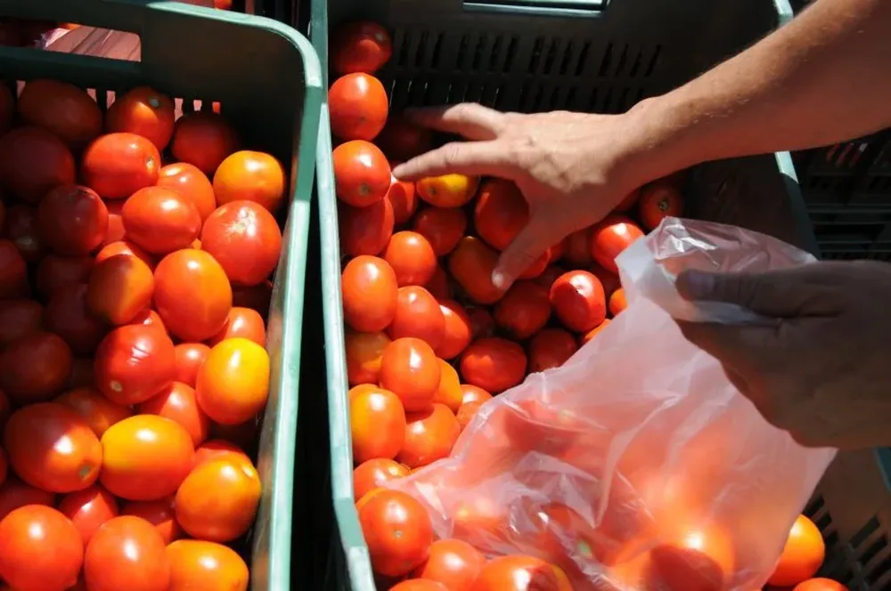 El precio descendió a $ 30 por kilo y en algunos casos más.