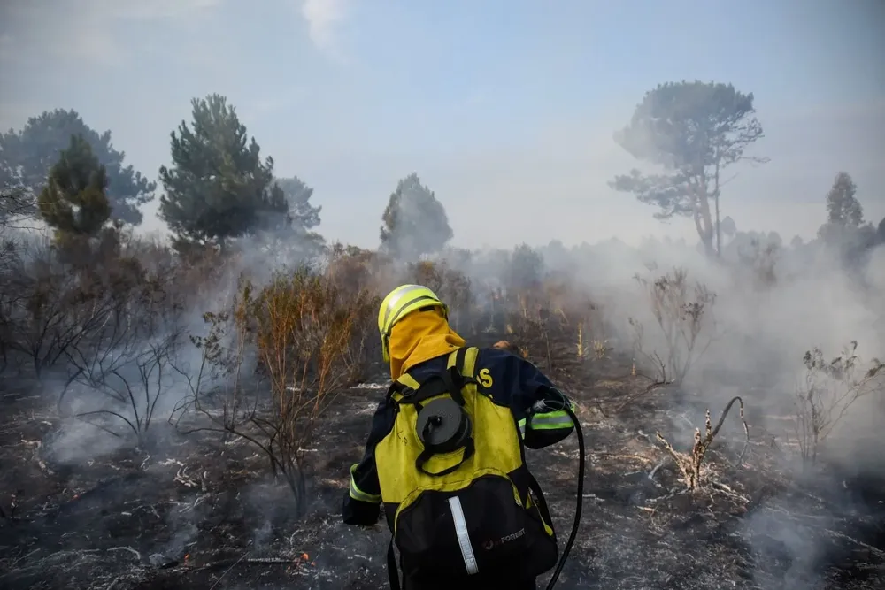 La SPF trabaja de forma coordinada con la Dirección Nacional de Bomberos para prevenir y atender los casos de incendio.