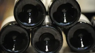 Viticultores preocupados por la falta de demanda por el vino elaborado con la uva remitida al CVU.