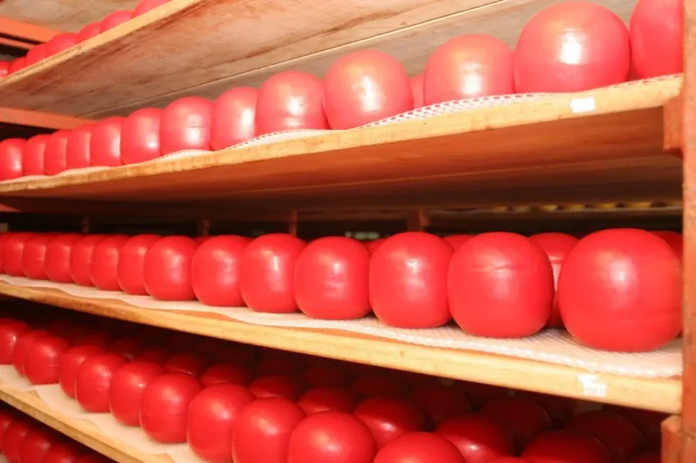 Consideran improbable que este año haya una recuperación de los precios lácteos