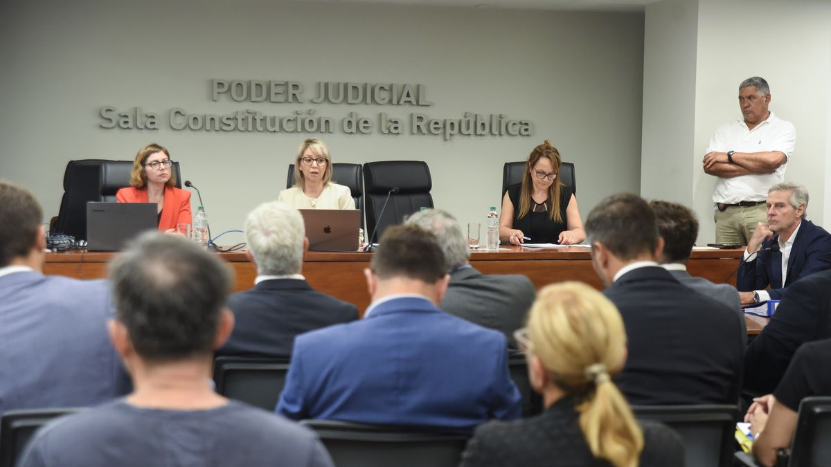 Conexión Ganadera: hija y yerno de Basso denunciaron que inversores hicieron 