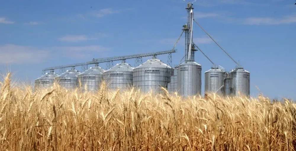 El Mercosur deberá abastecer más del 90 % de las necesidades de trigo de Brasil