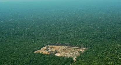 Deforestación en Amazonia