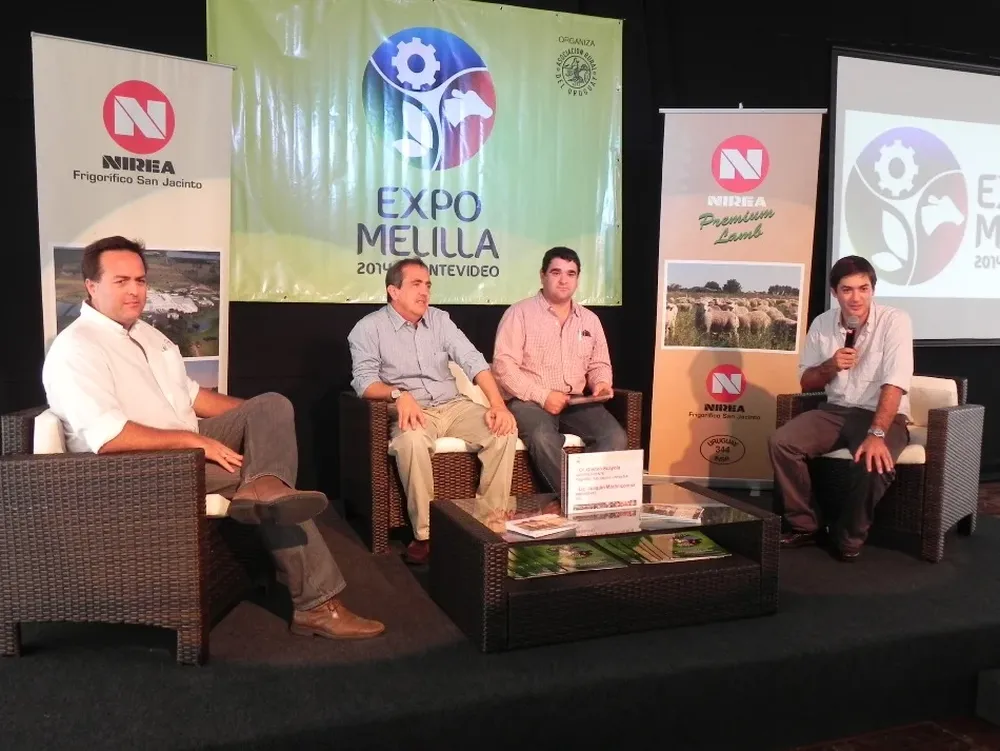 Expertos informaron sobre el rubro ovino