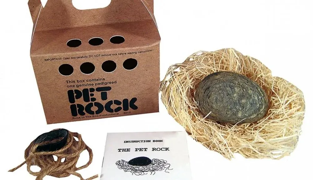 The Pet Rock, una roca para mascota de los niños
