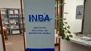 INBA, Instituto Nacional de Bienestar Animal.