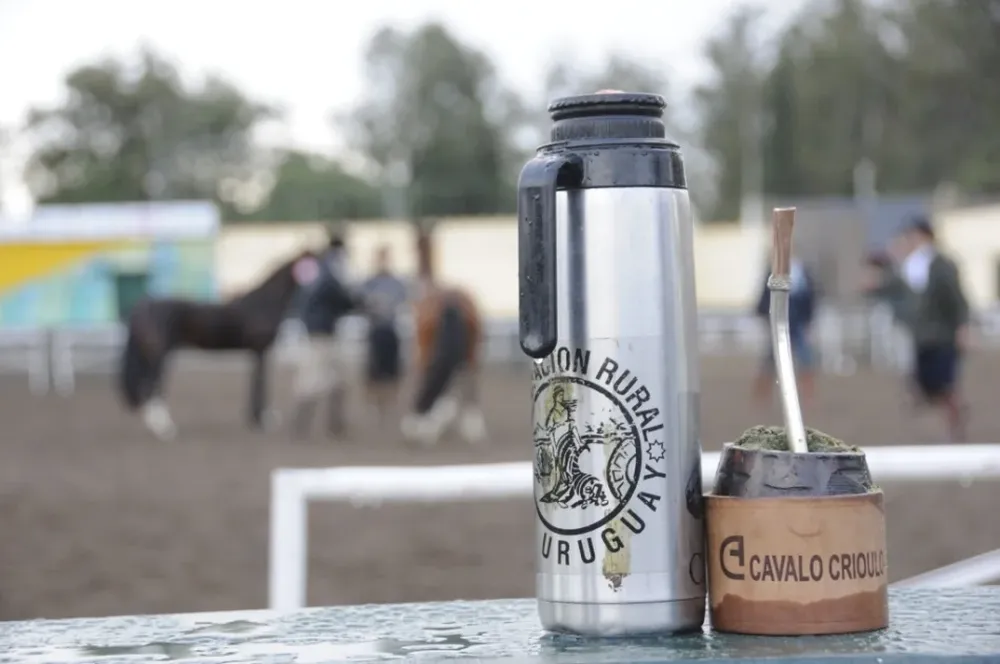 Los criollistas están de fiesta en la Rural del Prado