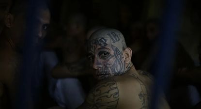 Qué es Barrio 18, la pandilla que el gobierno de Trump designó como organización terrorista