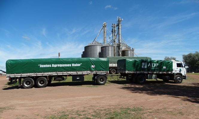 Soja y maíz: con los pies en las chacras y mucha información novedosa a mano, pasó otra ADP VISION.