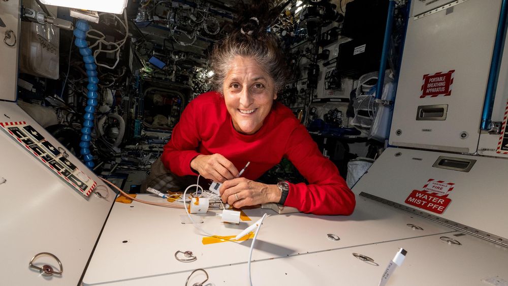 La astronauta Suni Williams (en la foto) y su colega Butch Wilmore están varados en la Estación Espacial Internacional.