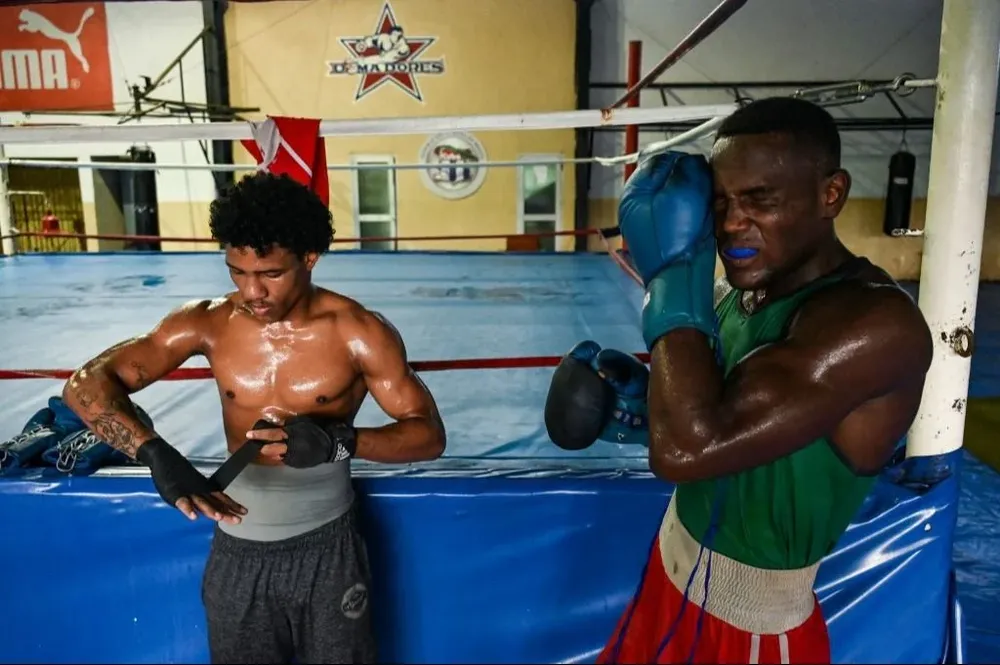Boxeadores cubanos