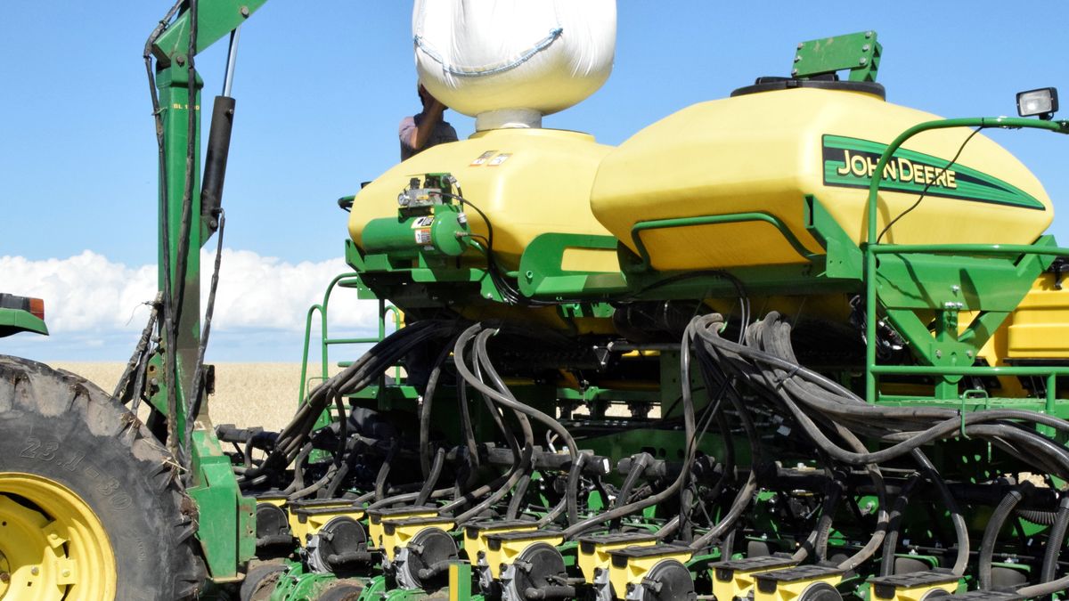 Paso adelante de la agricultura celeste, con empuje clave de la colza para disimular ajustes en trigo y cebada