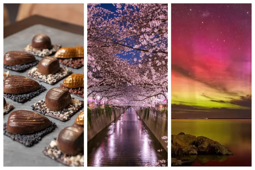 Chocolates, cerezos y auroras, en el picnic de hoy