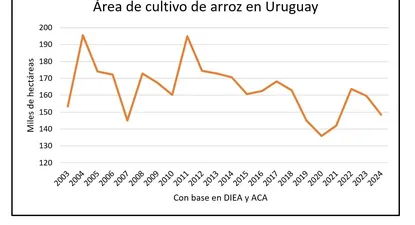 El Observador | 1708694762669.webp