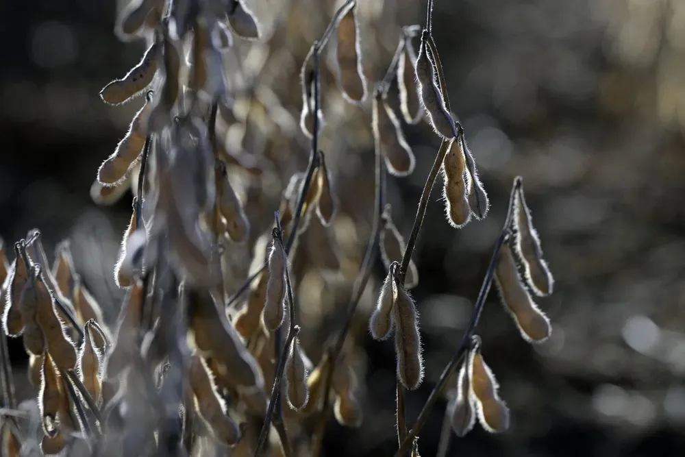 Los precios subieron en los mercados agrícolas por los altos riesgos de sequía en Argentina, Río Grande del Sur y Uruguay, y por las tormentas en el invierno de Estados Unidos.