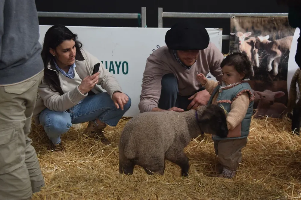 Guardería de corderos.
