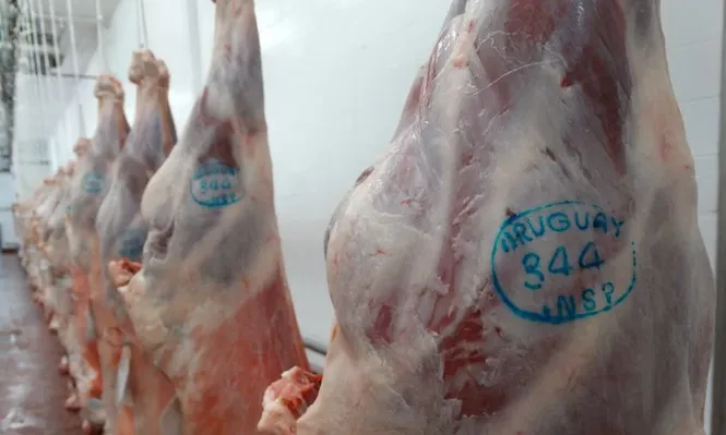 Conflicto en el sector de la carne podría generar más medidas a partir de la próxima semana.