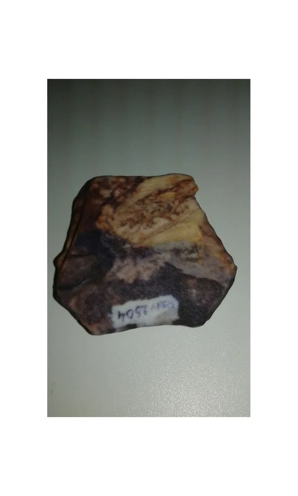 Copia impresa en yeso que imita el color y textura del fósil original