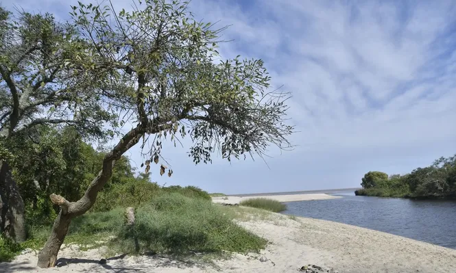 Zona donde se construirá la planta según el proyecto original