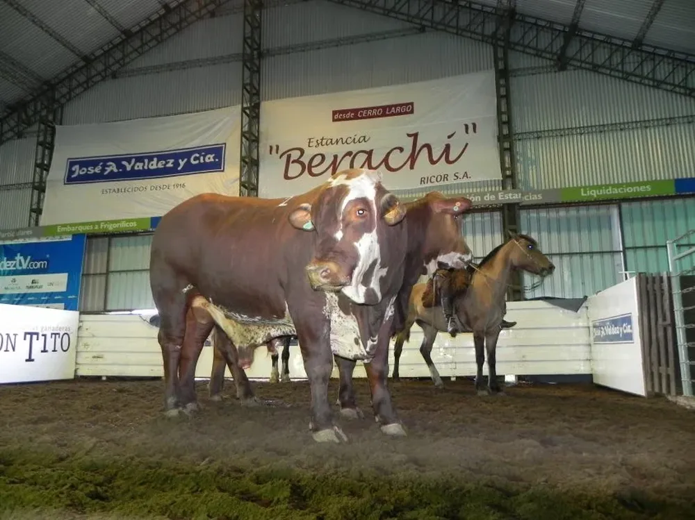 El miércoles 4 en Don Tito, con Valdez y Cía y banco Santander