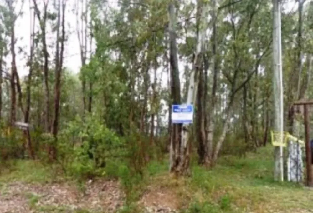 Uno de los solares que rematará José Servando Echeverría