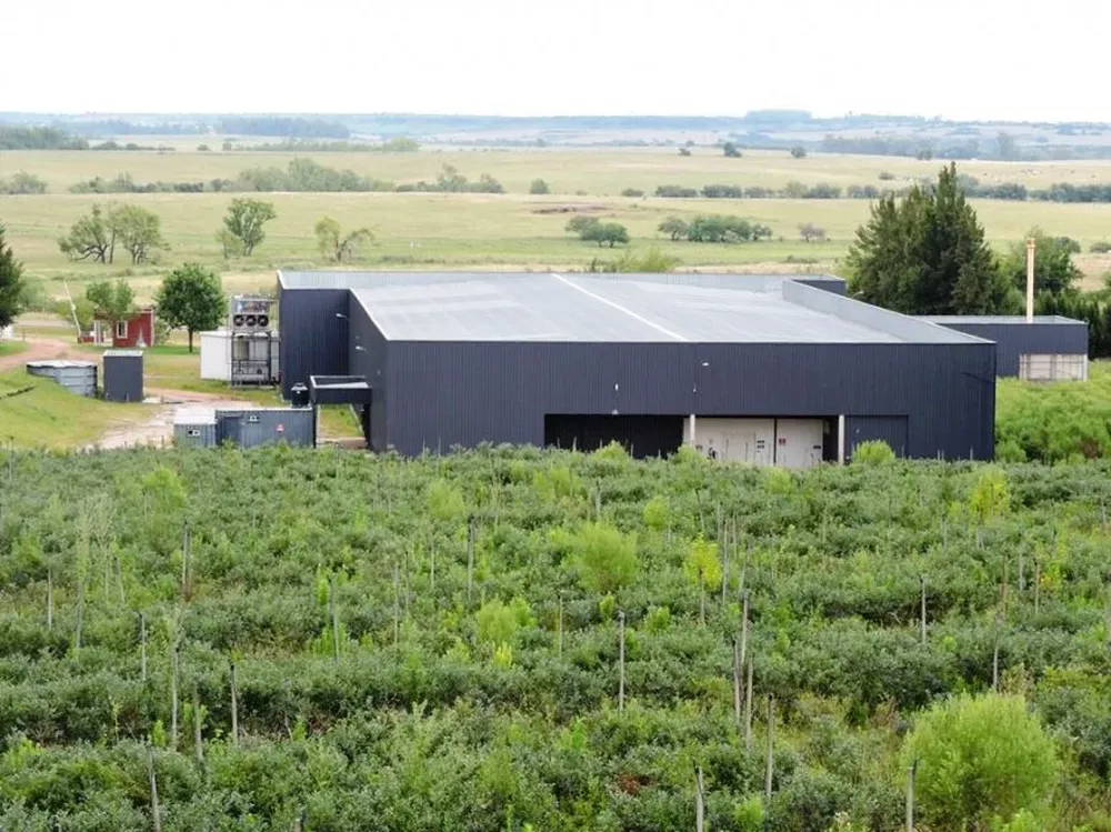 La subasta se llevará adelante sin base y en dólares americanos