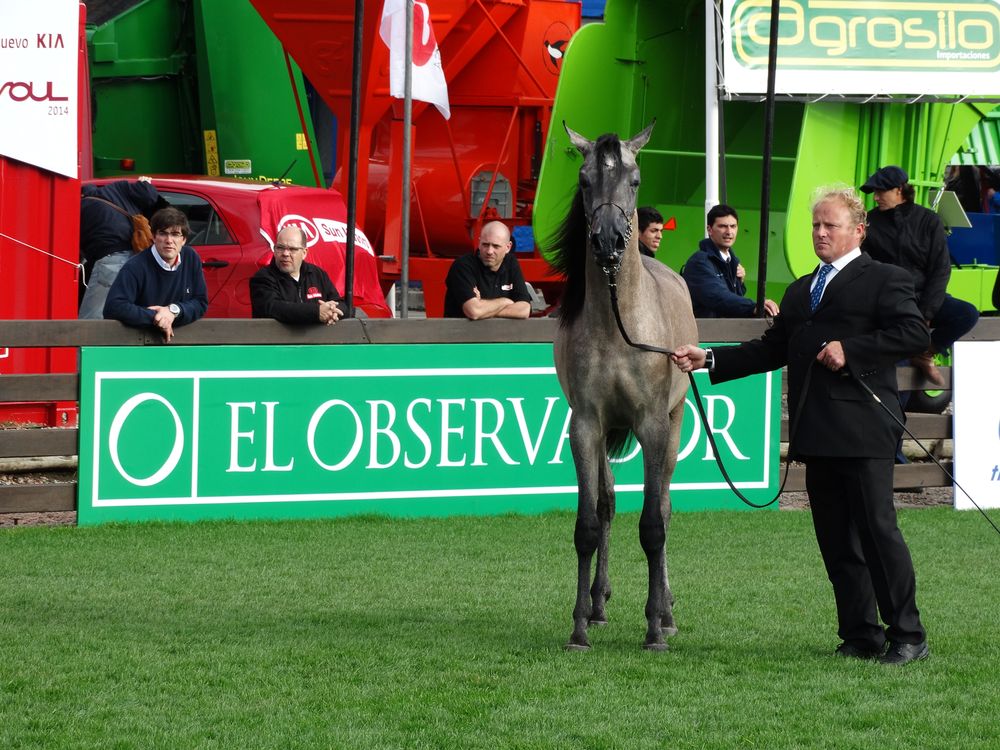 Expo Rural Prado, el regreso de un clásico.