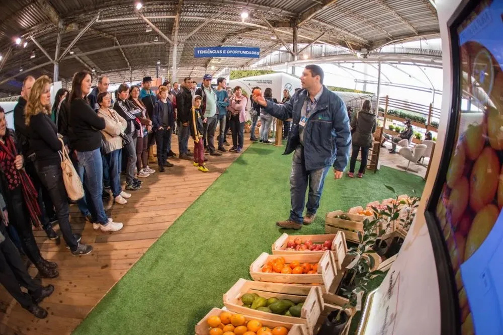 La primera experiencia, el año pasado, fue evaluada como muy positiva.