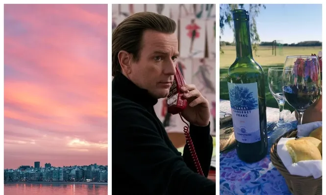 Vino, series y amaneceres, en esta edición de Picnic!