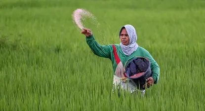 El Observador | alimentos imagen principal