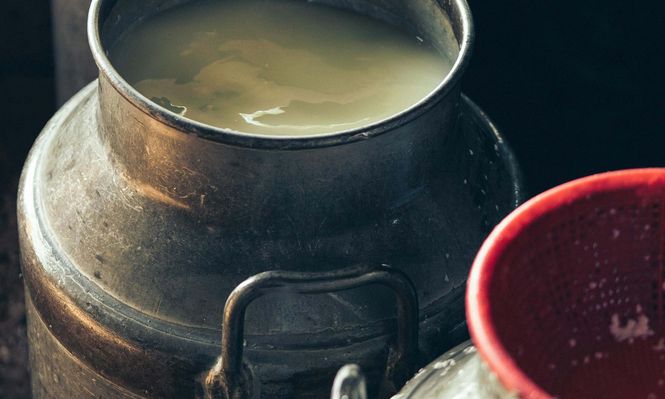 Leche en polvo entera y descremada, quesos y manteca: los lácteos que Uruguay coloca al exterior.