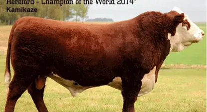 El Observador | 0000083709.webp