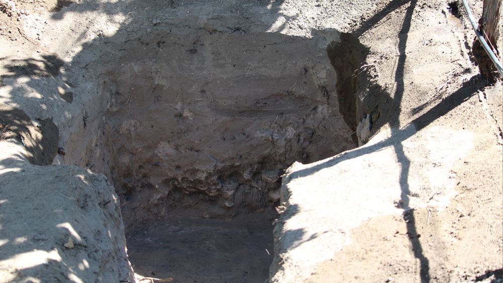Suelo aluvional profundo del Valle de Uco, con una capa de arena y limo en el primer horizonte, seguido de piedra con calcáreo.