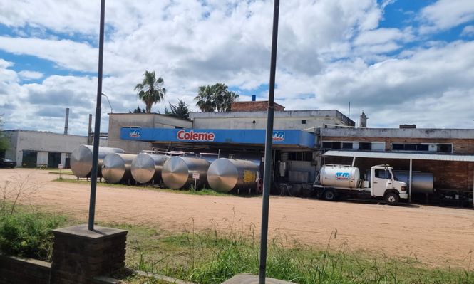 Coleme: la actividad se está normalizando.