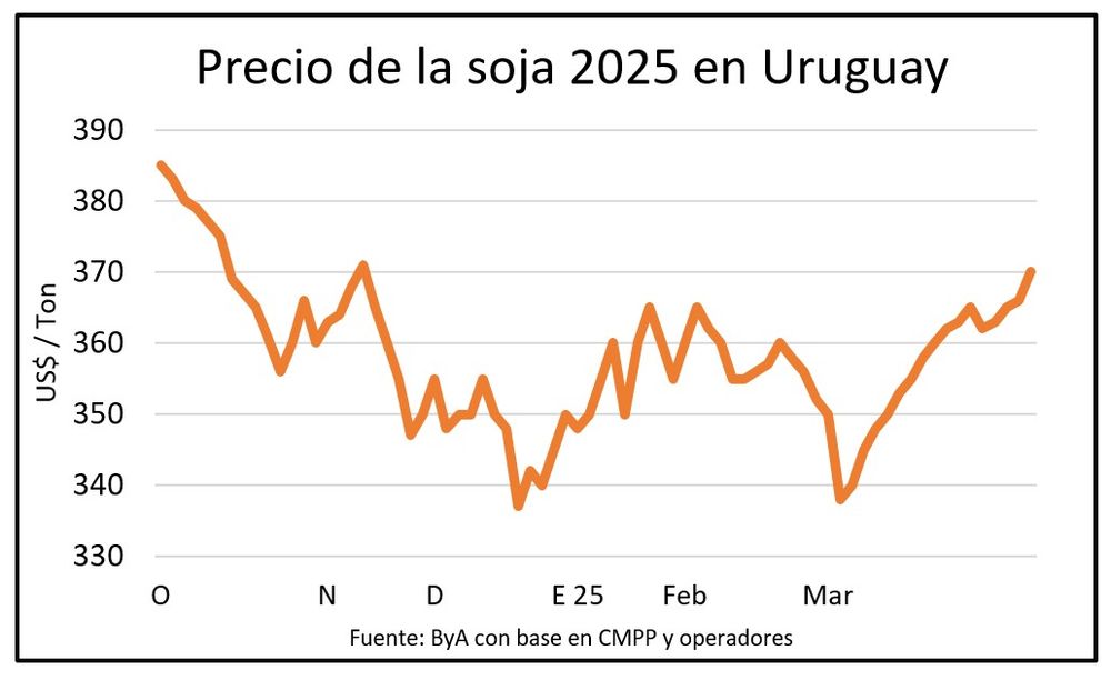 WhatsApp Image 2025-03-29 at 15.11.20.jpeg