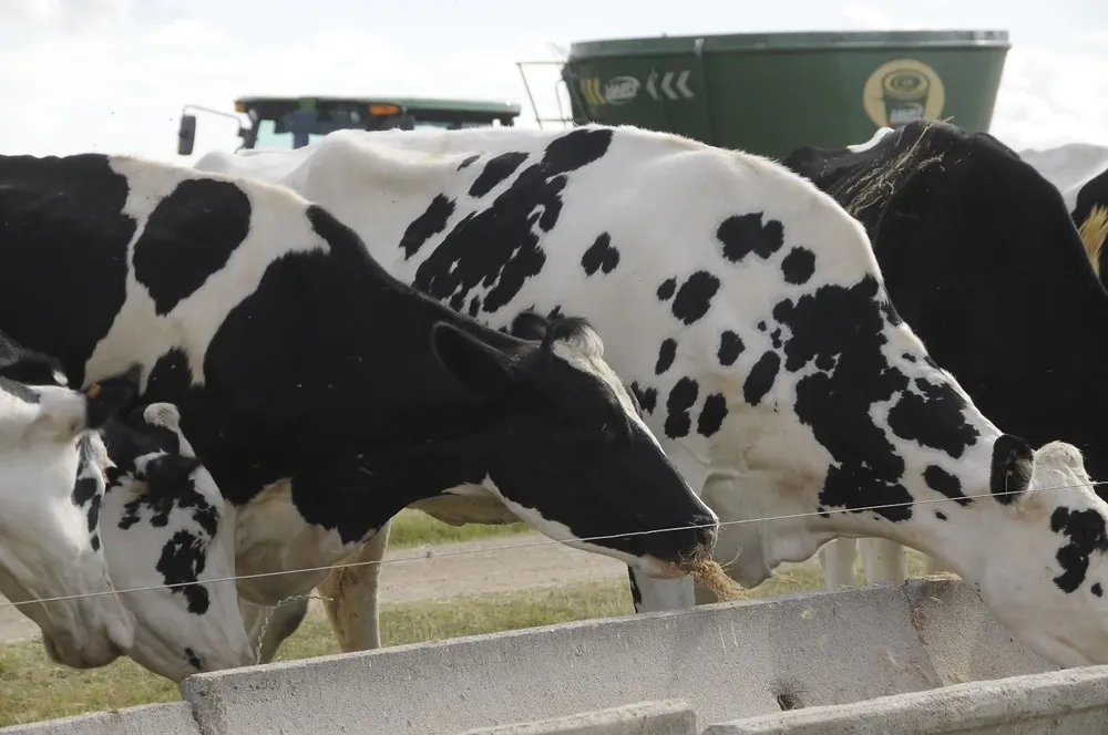 Los préstamos tienen diversos objetivos de uso del capital.