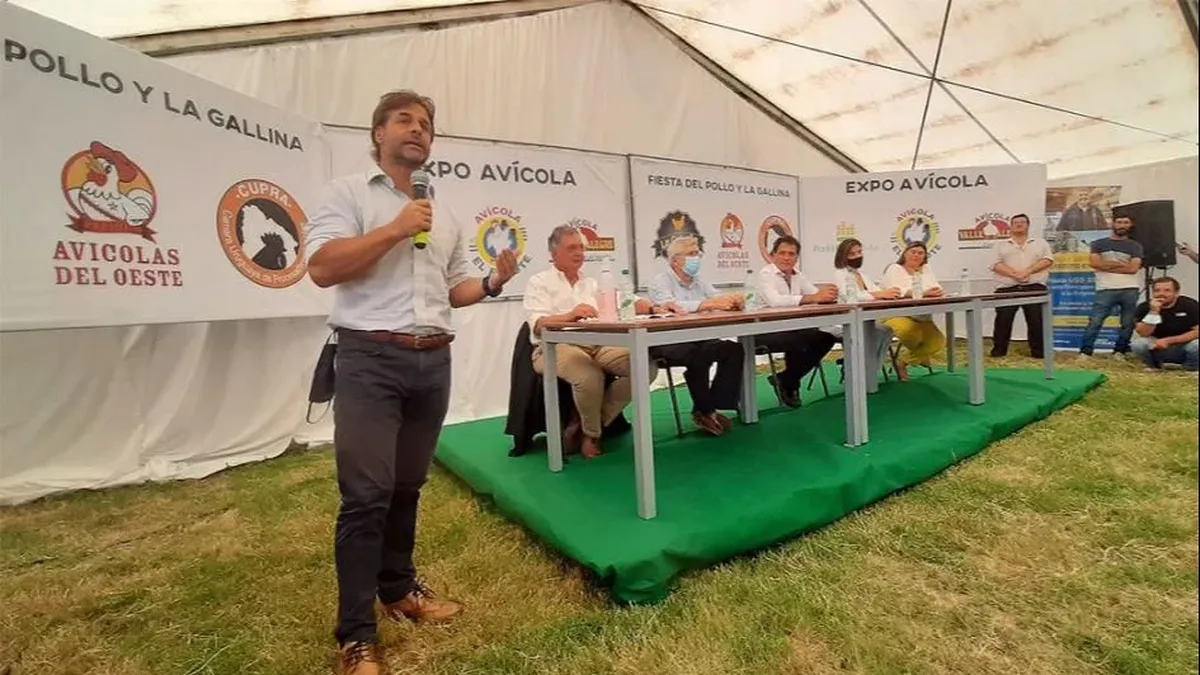 Por Primera Vez Un Presidente De La República Visitó La Fiesta Del Pollo Y La Gallina 