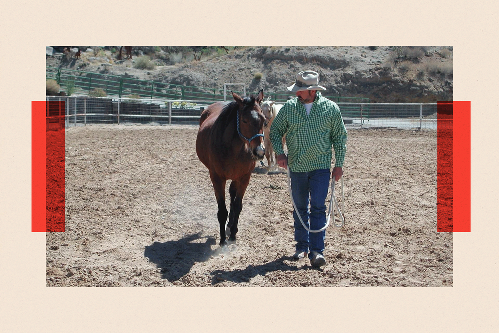 Harold Dillard era un típico vaquero texano, dice su hija. Le dijeron que la empresa que gestionó los restos de su padre no había infringido ninguna ley estatal.