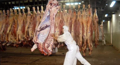 La industria frigorífica de Argentina vive un momento de retracción