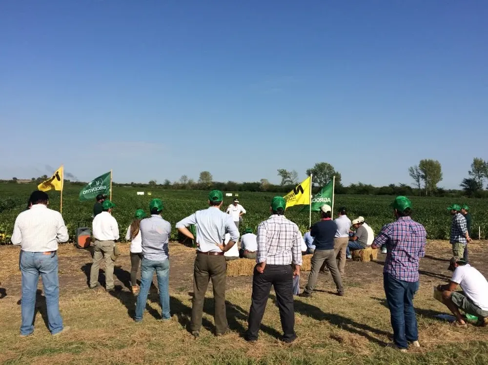 Se visitaron ensayos de soja y de maíz vinculados al Centro de Entrenamiento.