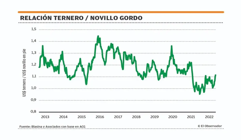 Relación ternero - novillo gordo.