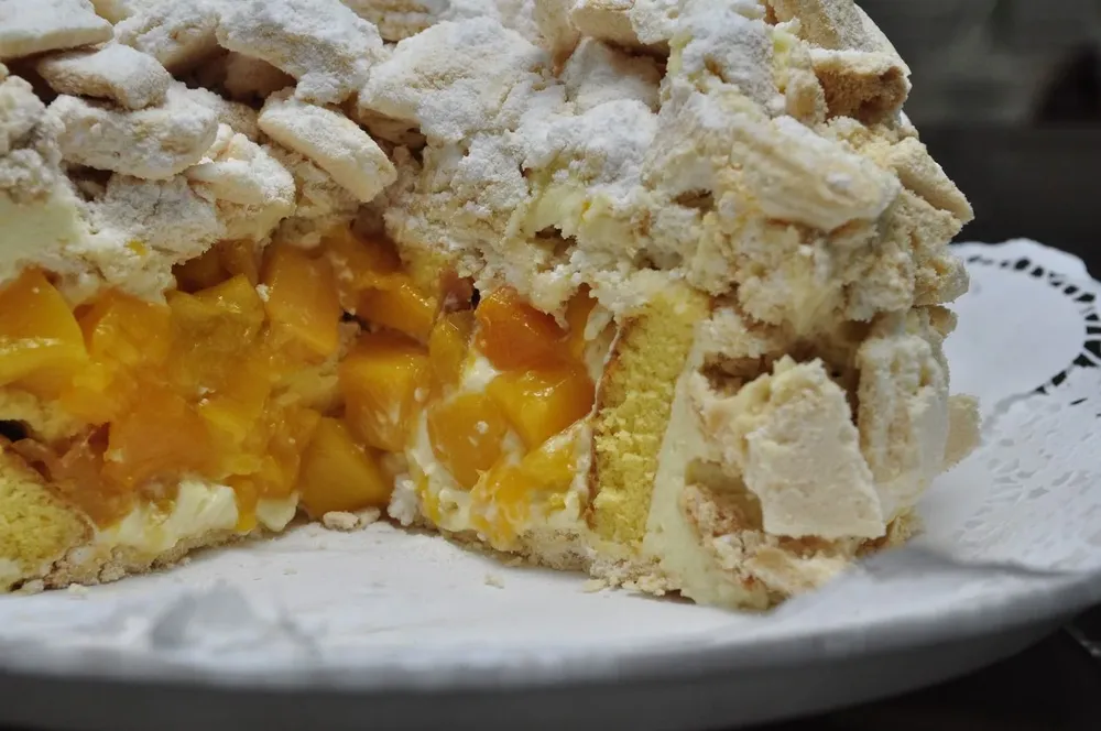 El chajá rankea alto en una lista mundial de tortas